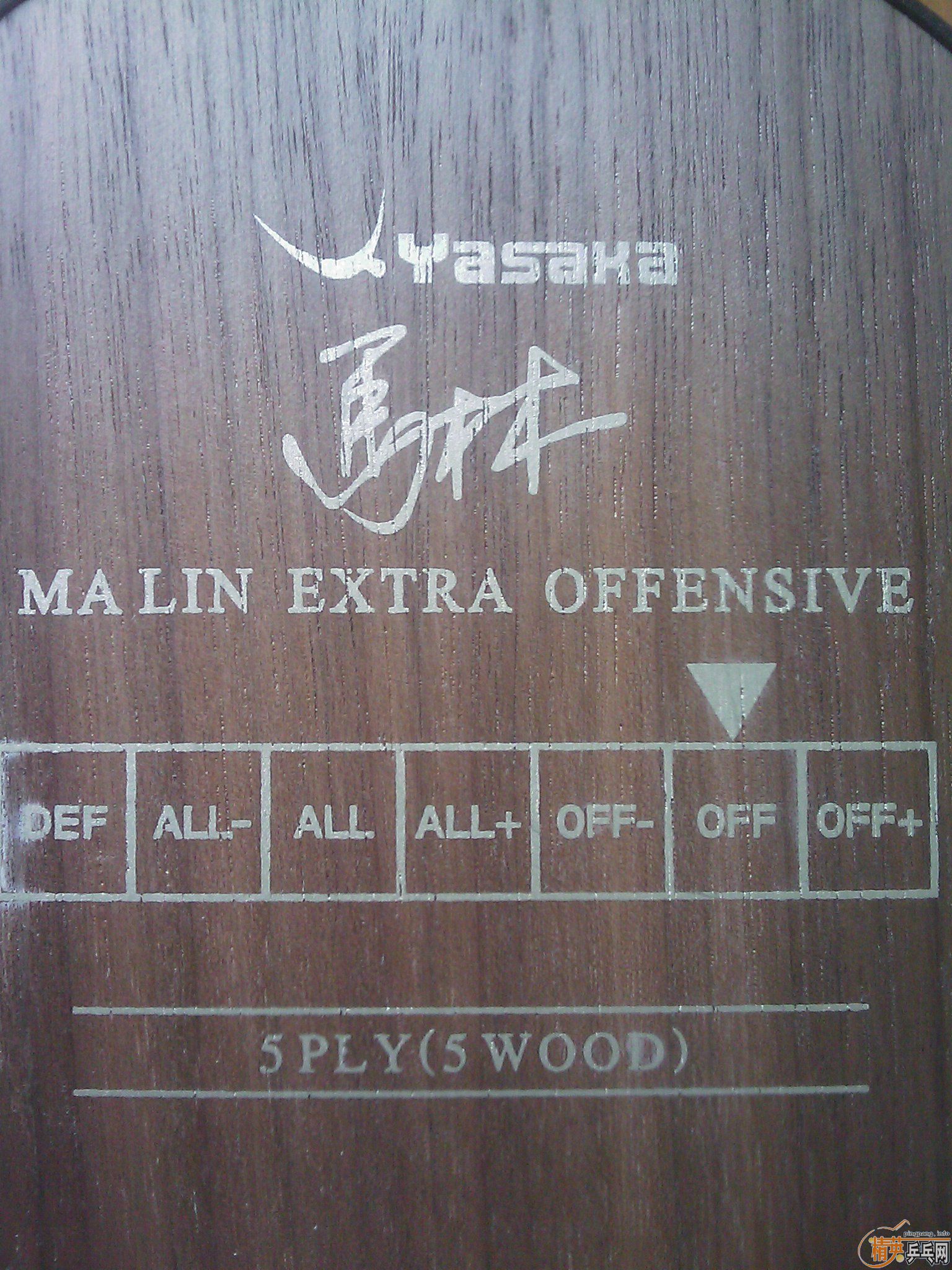 []æYEO