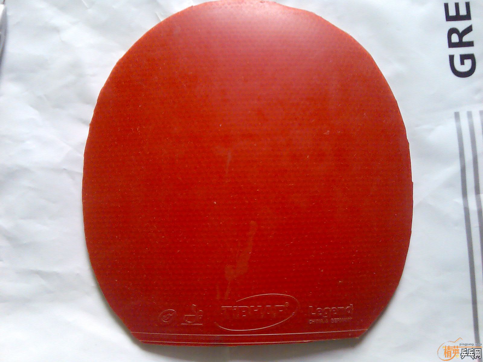 ��Щ��Ƥ  �ߵͶ���