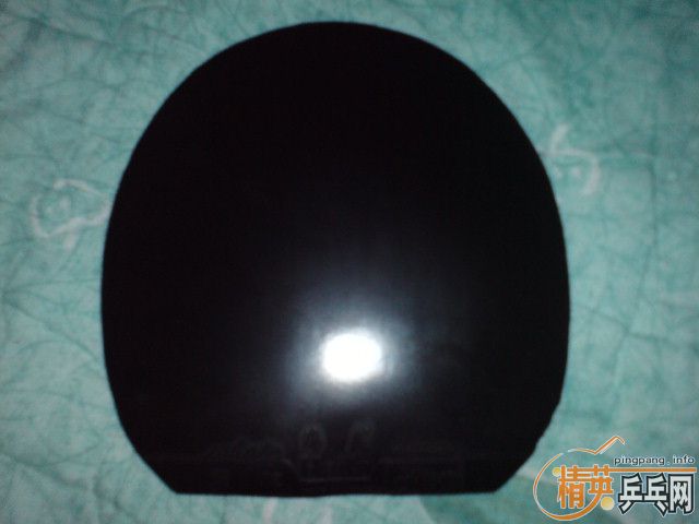 �����Ϻ��ຣ��ֱ�ᶼ����