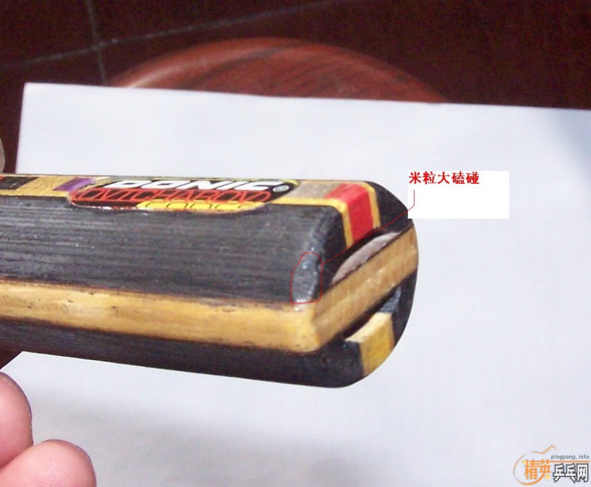 ��������������ѡ���ְ�DONIC Ovtcharov  ST��200���ʣ�������