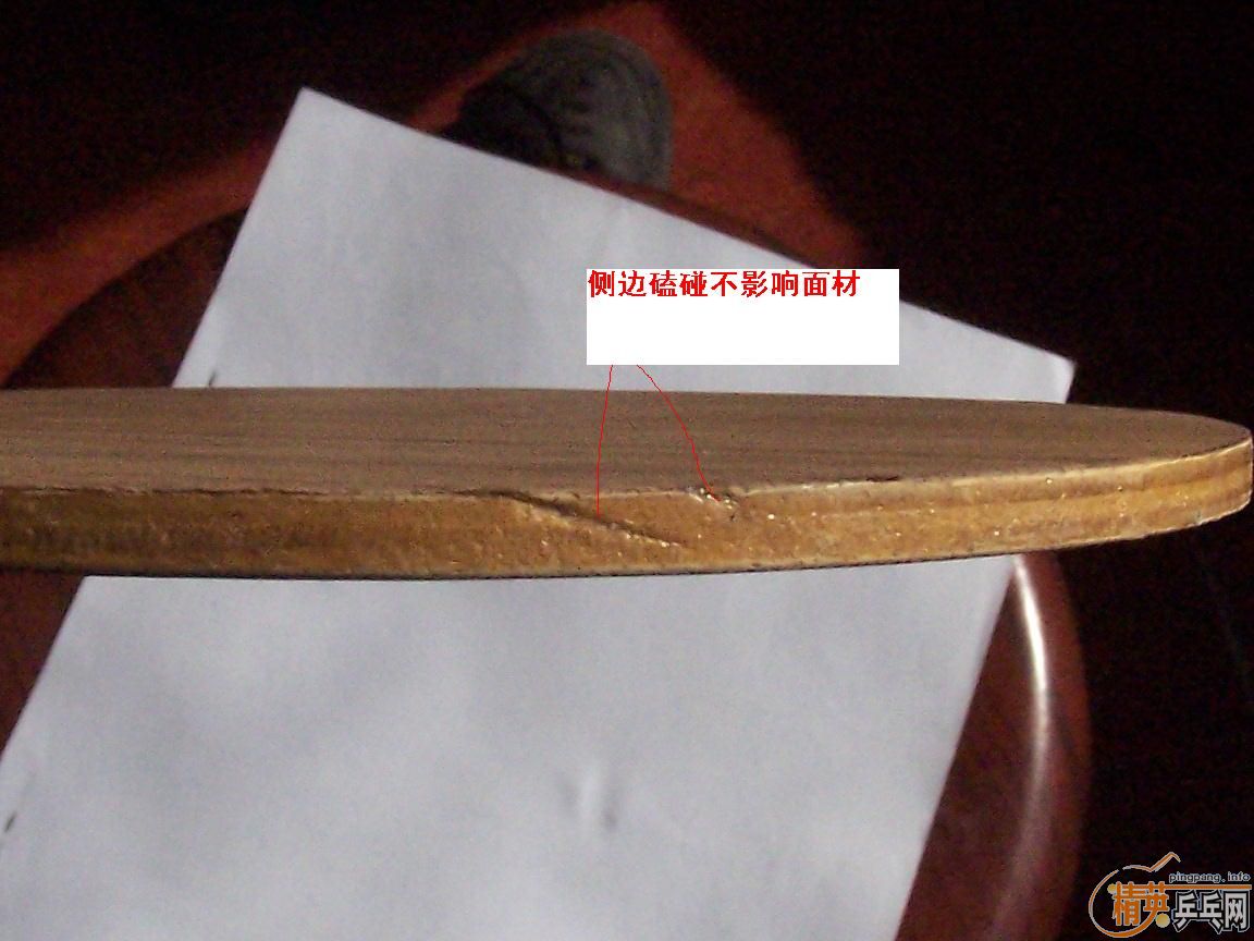 ��������������ѡ���ְ�DONIC Ovtcharov  ST��200���ʣ�������