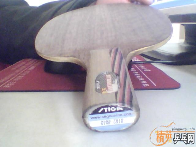 ��������һֻ���ѽ���������75.��5.2.�۸�380����