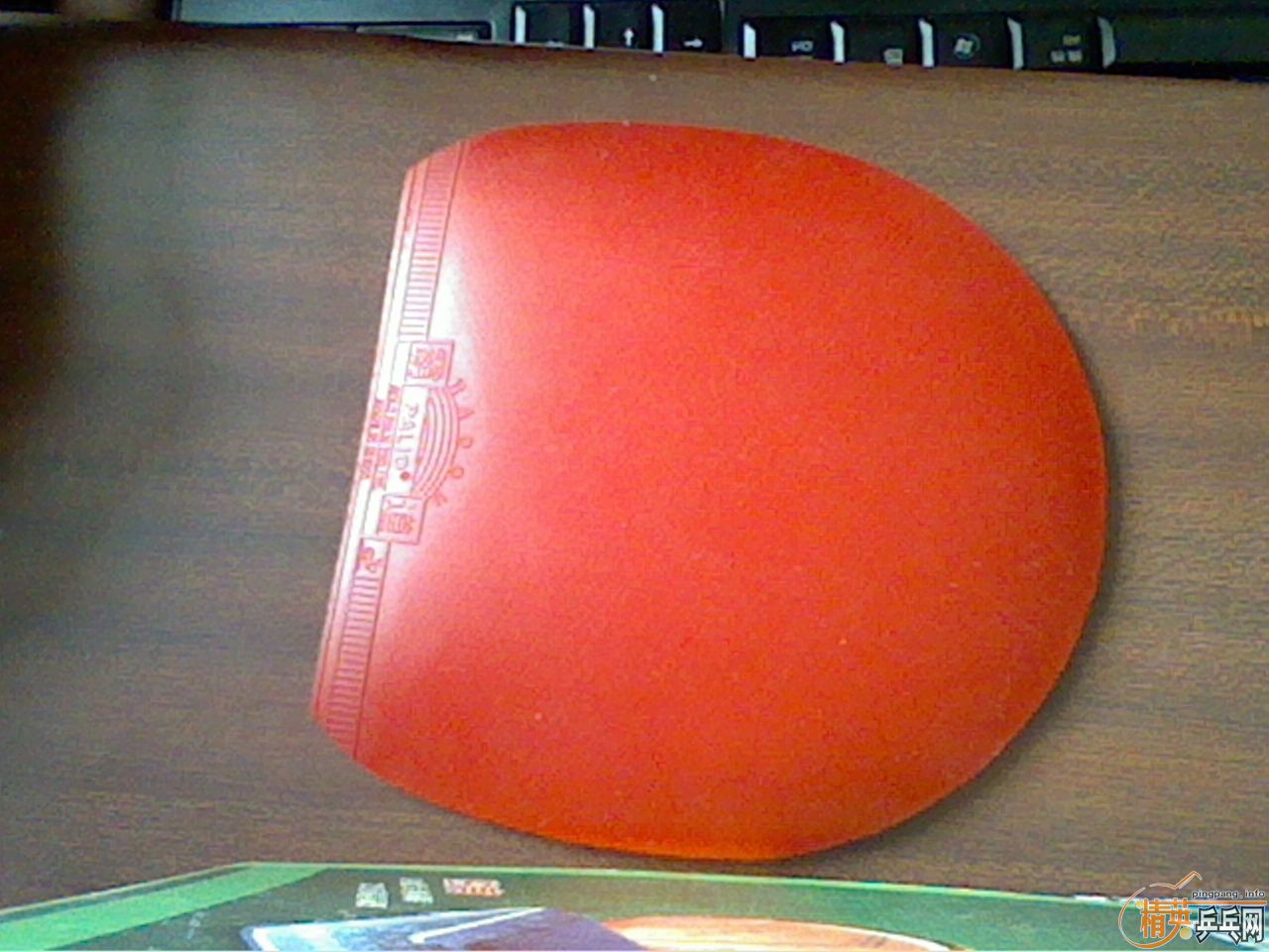 ���Ӳ�֪Ϊɶ�������ˣ��ط���Ů�����������أ������������߻��ģ�stiga AE�л�+palio�Ե�2046����+lkt������=200Ԫ���ʣ�