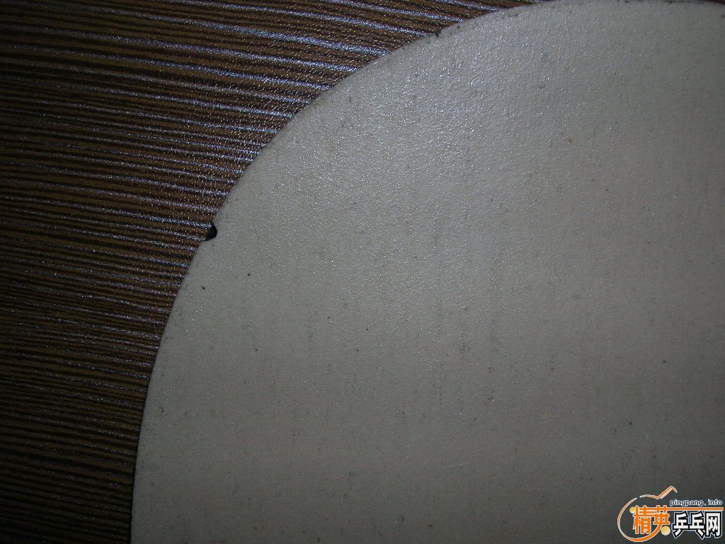 ���ɵ�X��98��