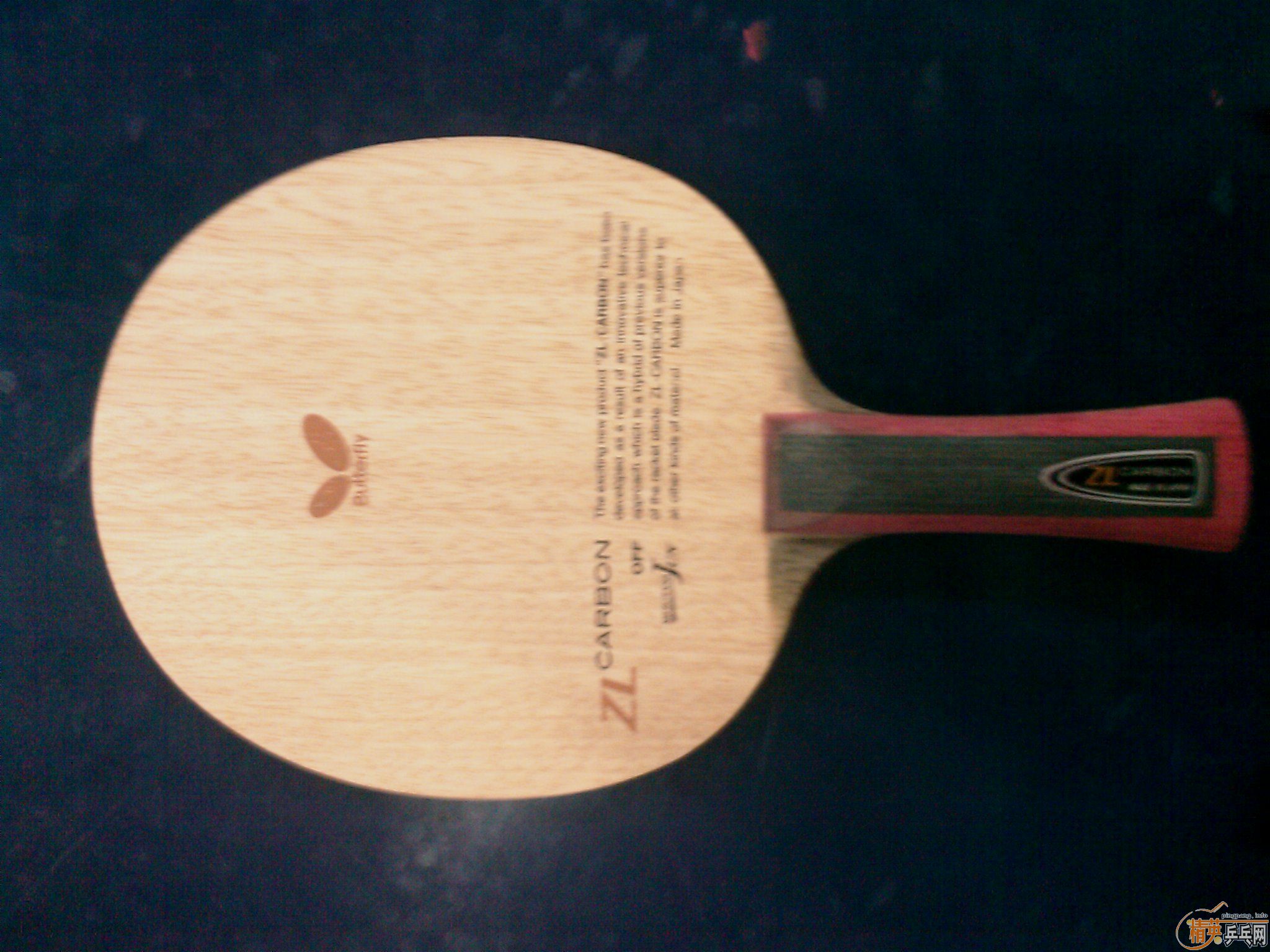 ��ͼ��9����ˮ������fl��С�ˣ�ֻ����������֧����