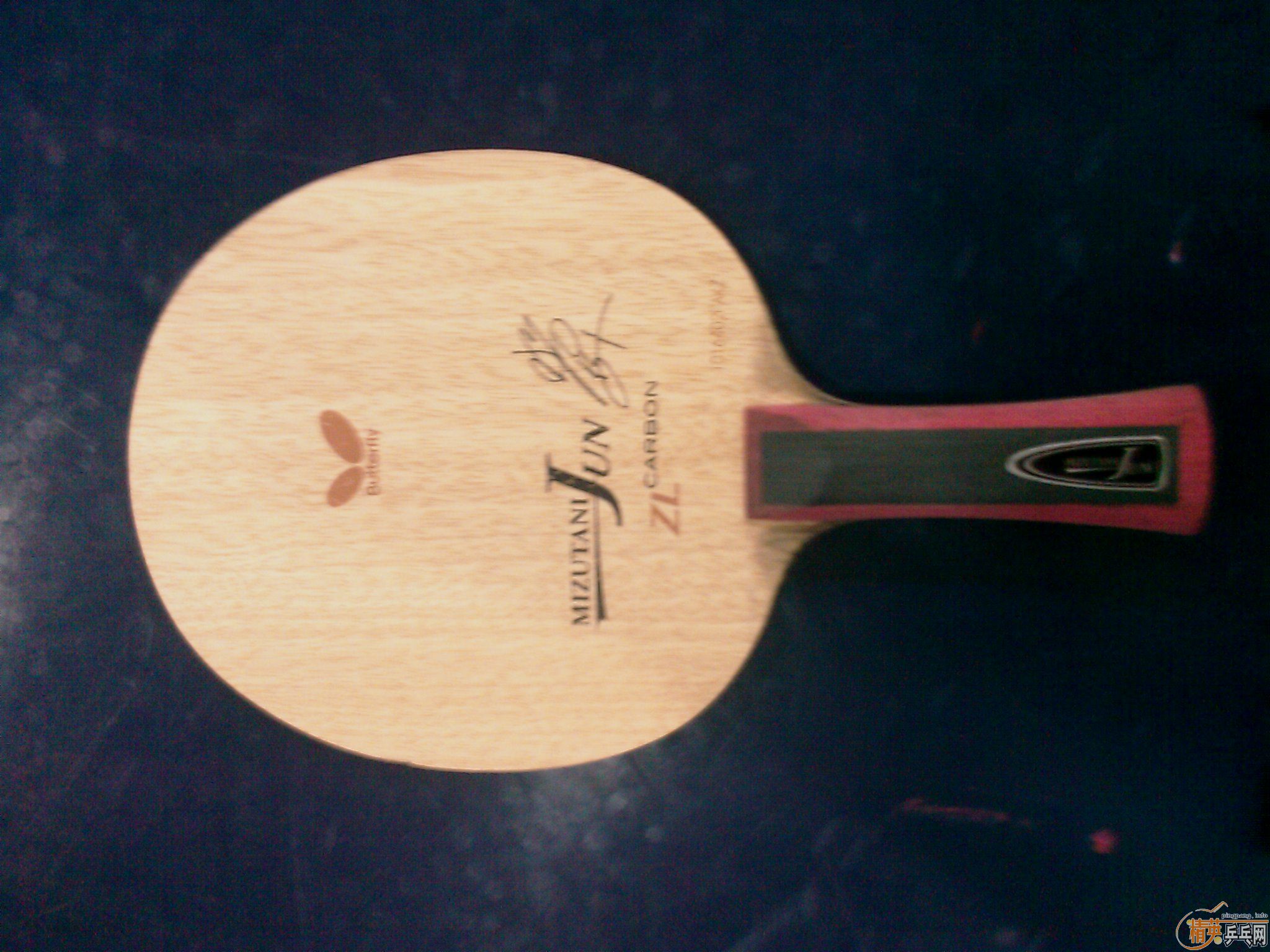 ��ͼ��9����ˮ������fl��С�ˣ�ֻ����������֧����