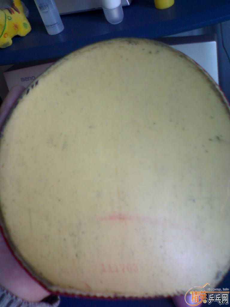 ֧�������������ɫ�׽���˹�ۿ�����һŵ��δ����������