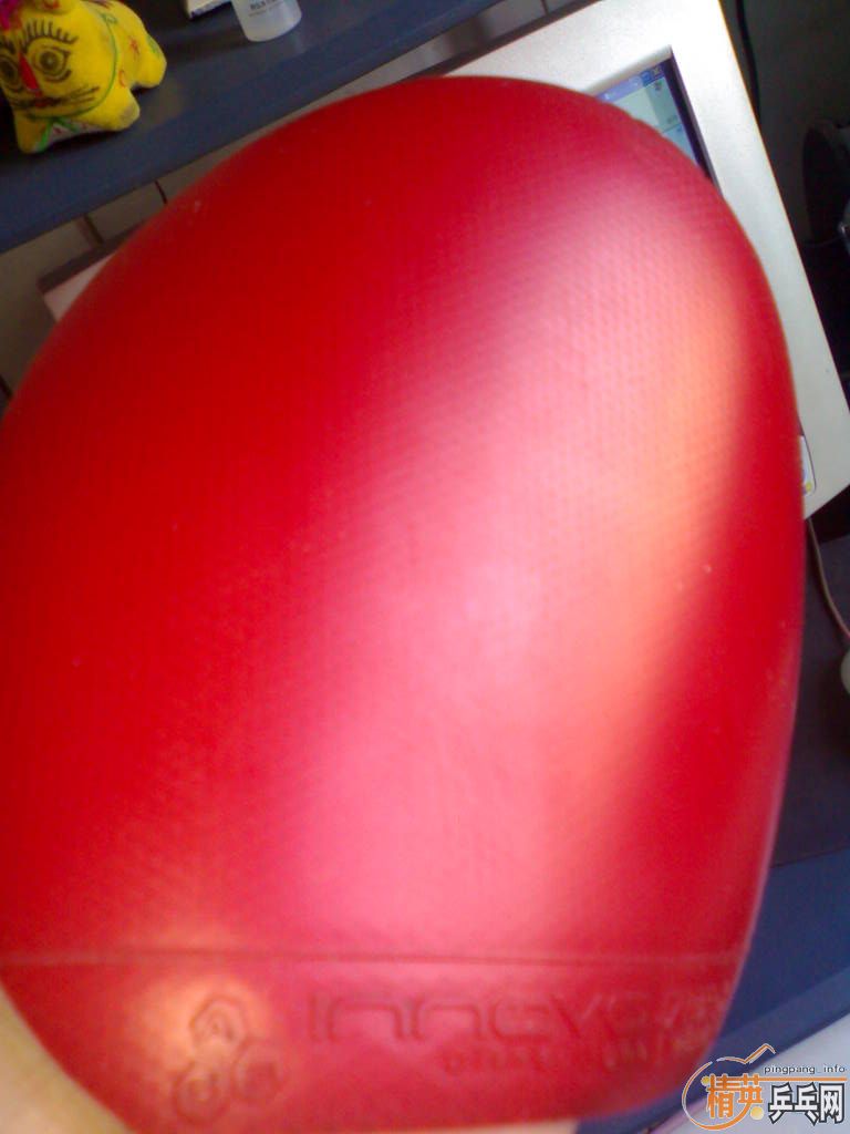 ~~~~�����ɫ�׽���˹�ۿ�����һŵ����δ����������