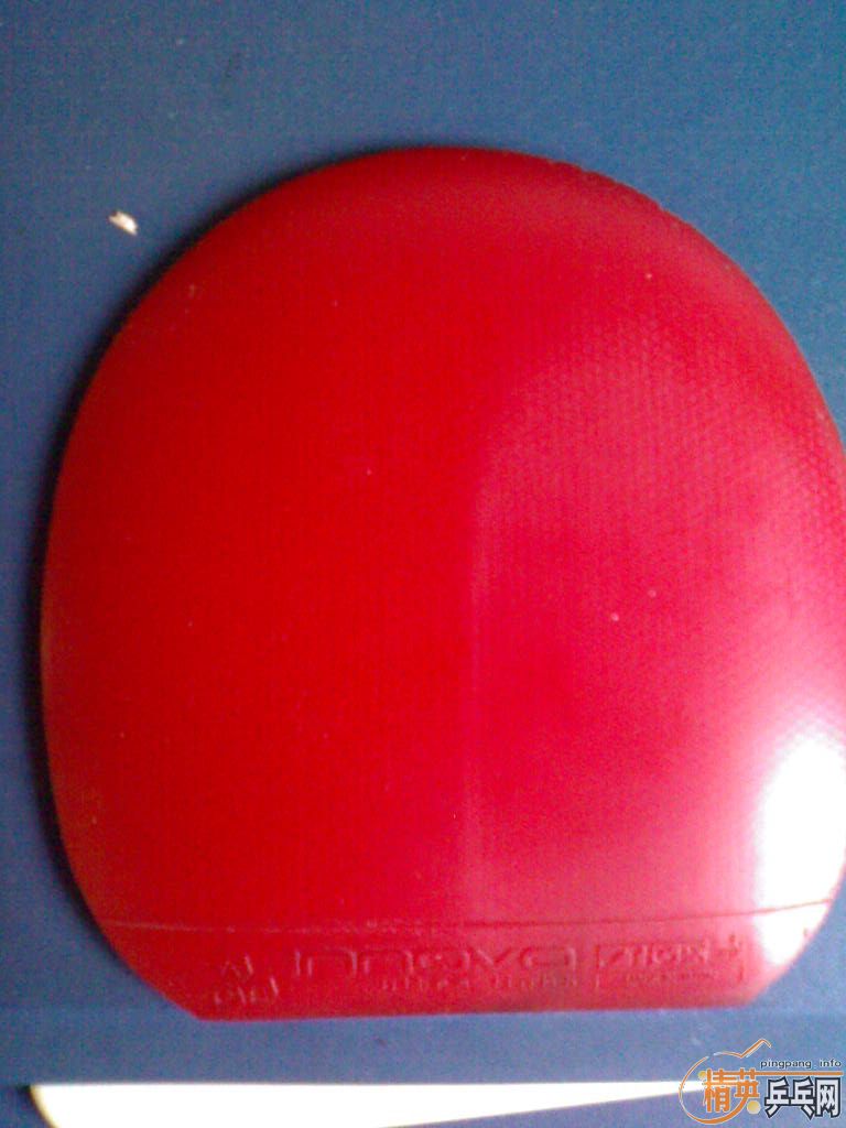 ~~~~�����ɫ�׽���˹�ۿ�����һŵ����δ����������