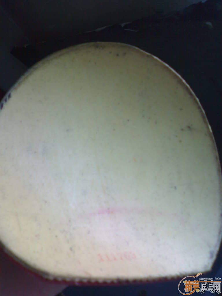 ����֧�������������ɫ�׽���˹�ۿ�����һŵ��δ����������