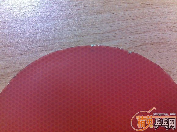 ��ͦ��NIMBUS��ɫ����