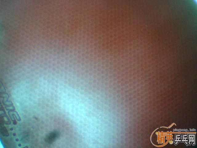 �������ס������F1����[���͡���������JO��