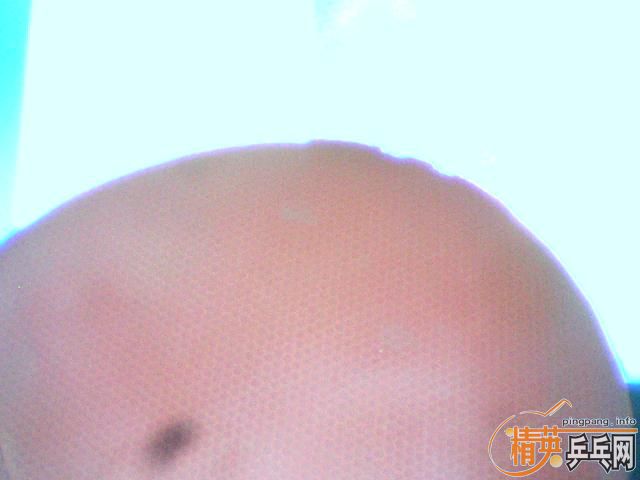 �������ס������F1����[���͡���������JO��