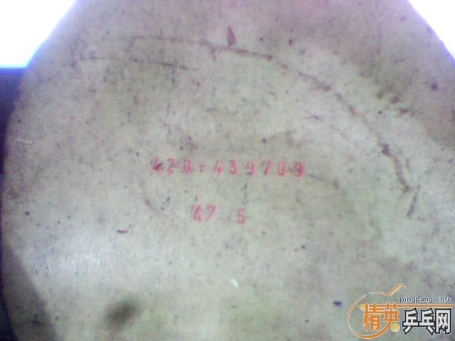 �������ס������F1����[���͡���������JO��