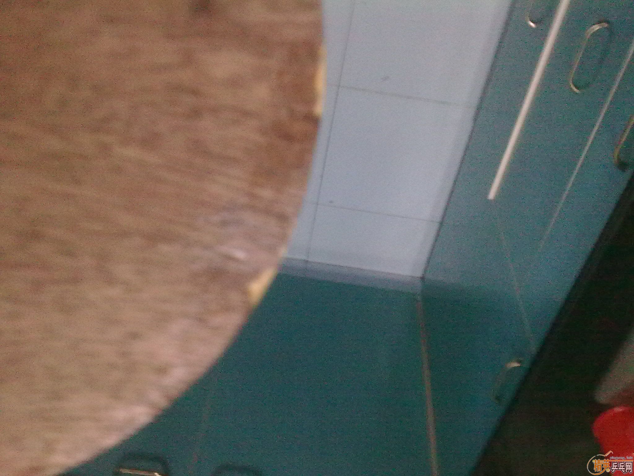 �Ʊ�OC������