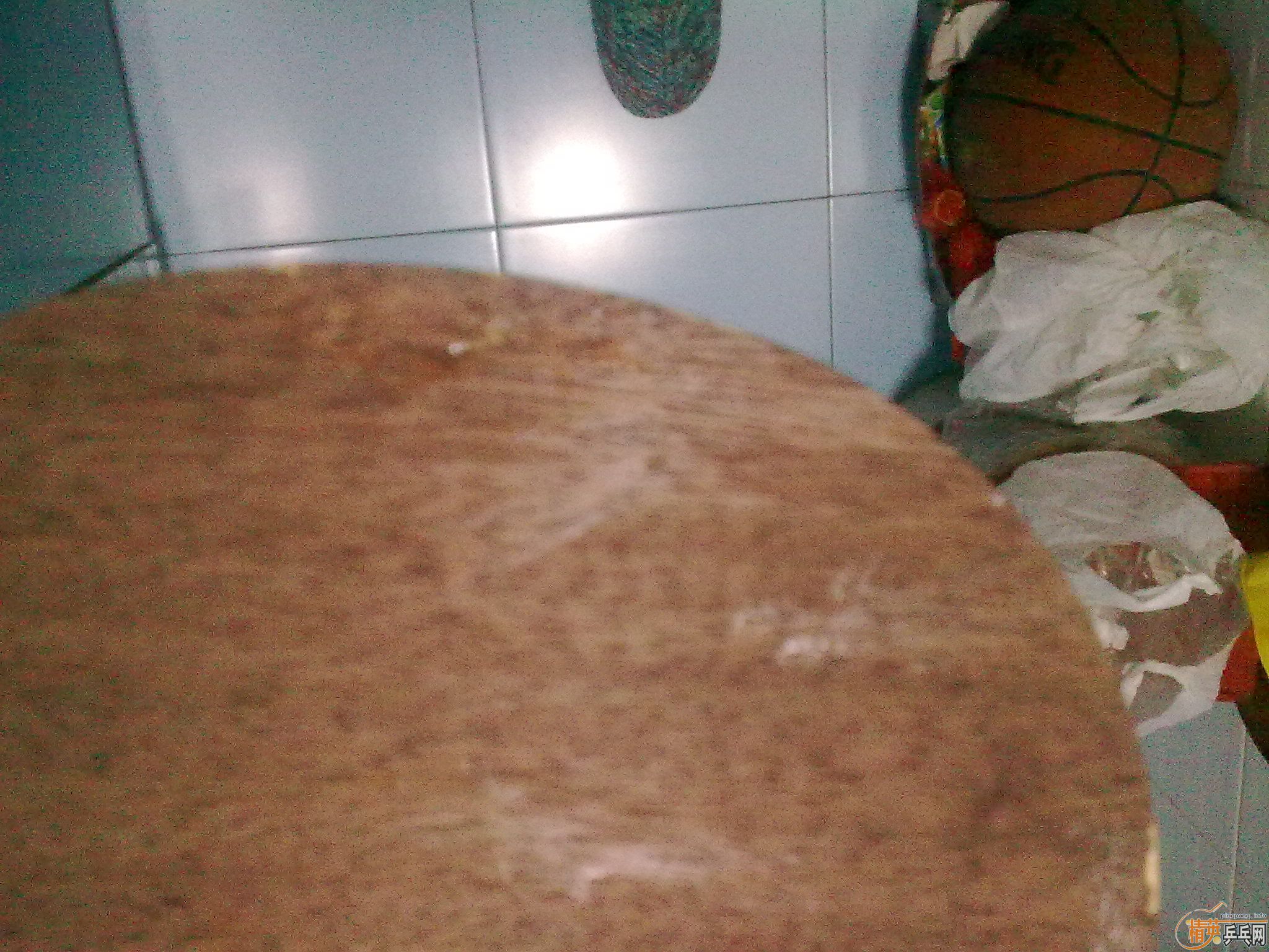 �Ʊ�OC������