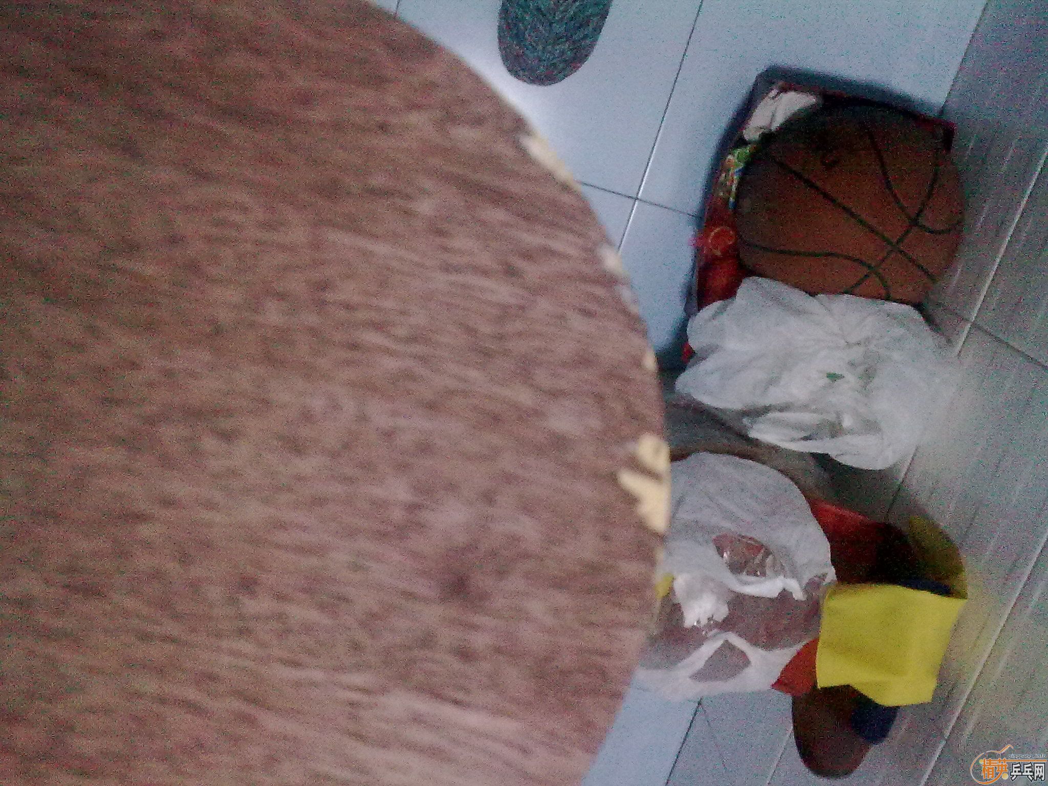 �Ʊ�OC������