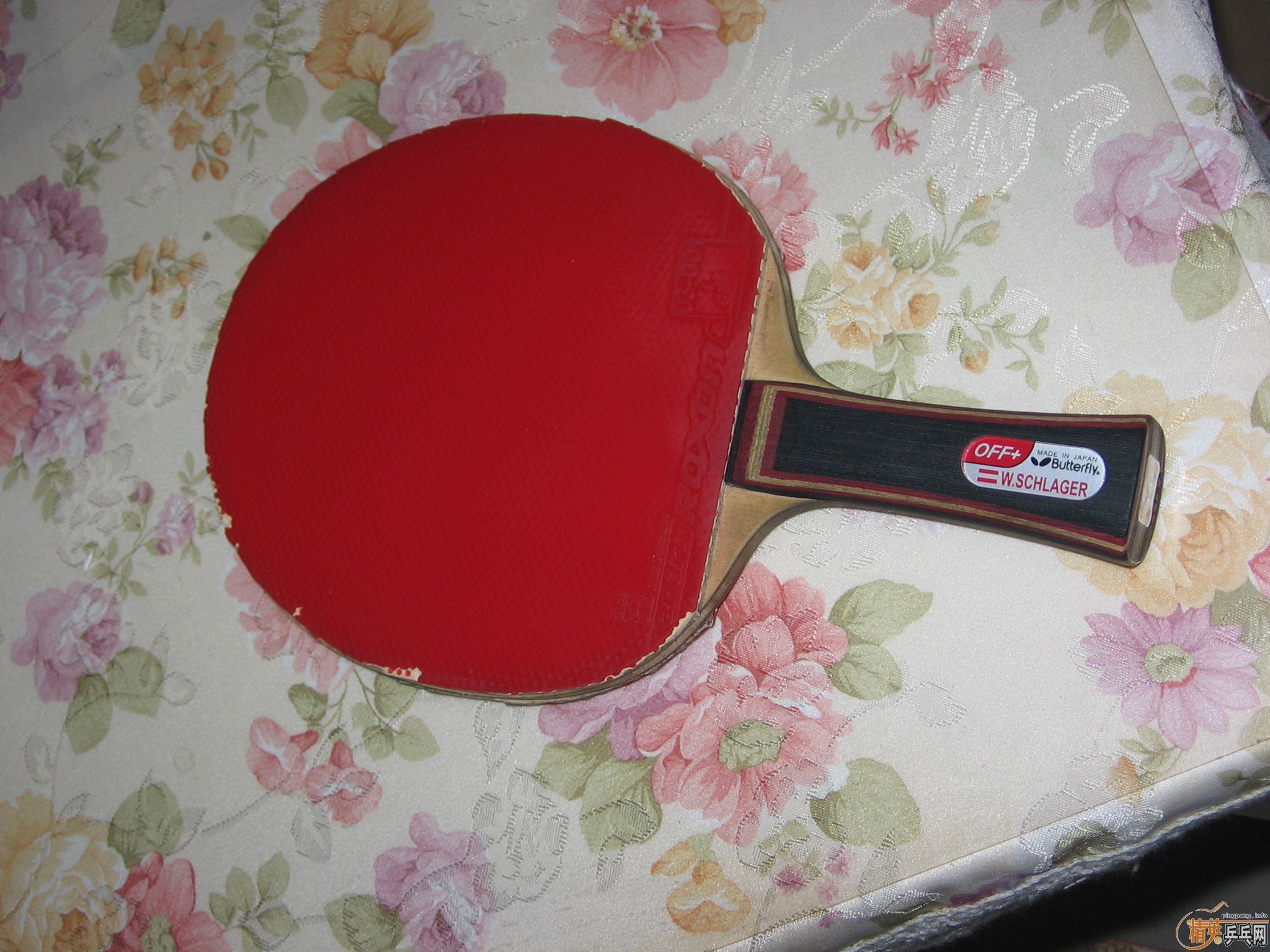 ����ʩ����̼�� ���˳� ��Ҳ���� ��֧����