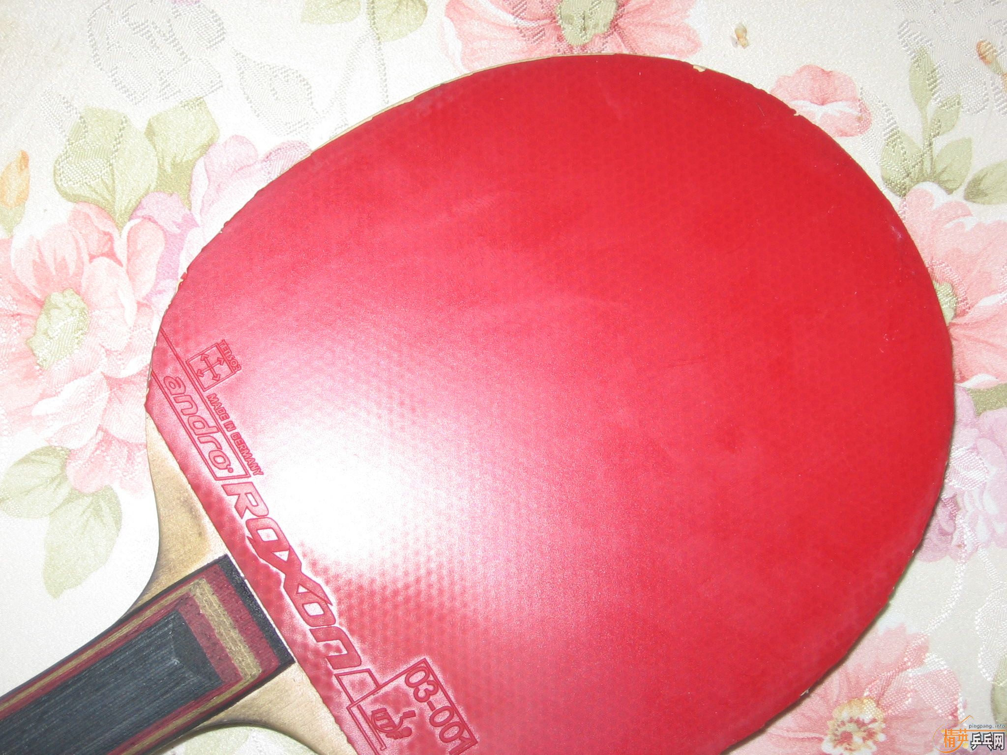 ����ʩ����̼�� ���˳� ��Ҳ���� ��֧����