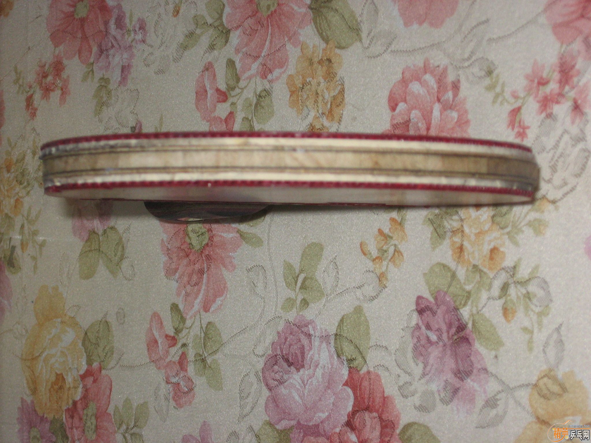 ����ʩ����̼�� ���˳� ��Ҳ���� ��֧����