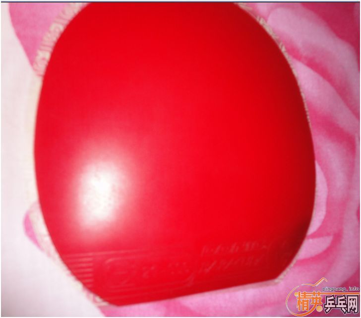 Baracuda 9.8�� EL 9�� ����֧����