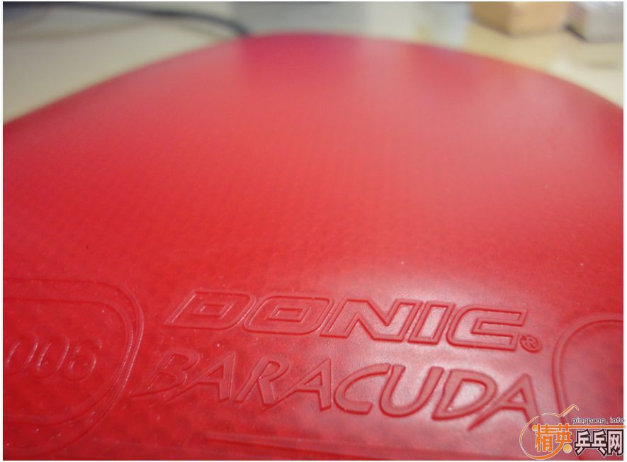 Baracuda 9.8�� EL 9�� ����֧����