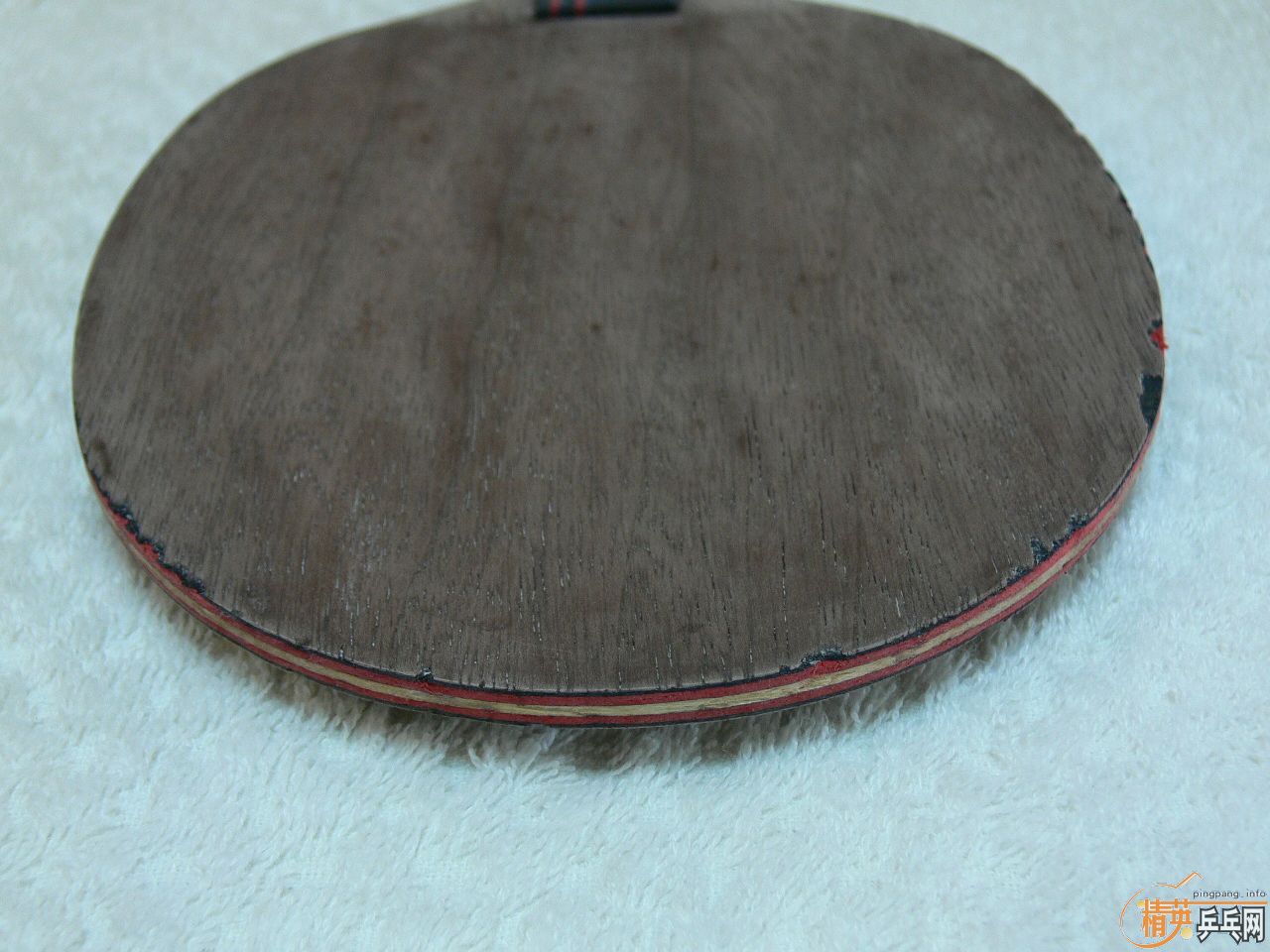 YASAKA�� STIGA ���7.6 ���Ʊ� ���� FL��