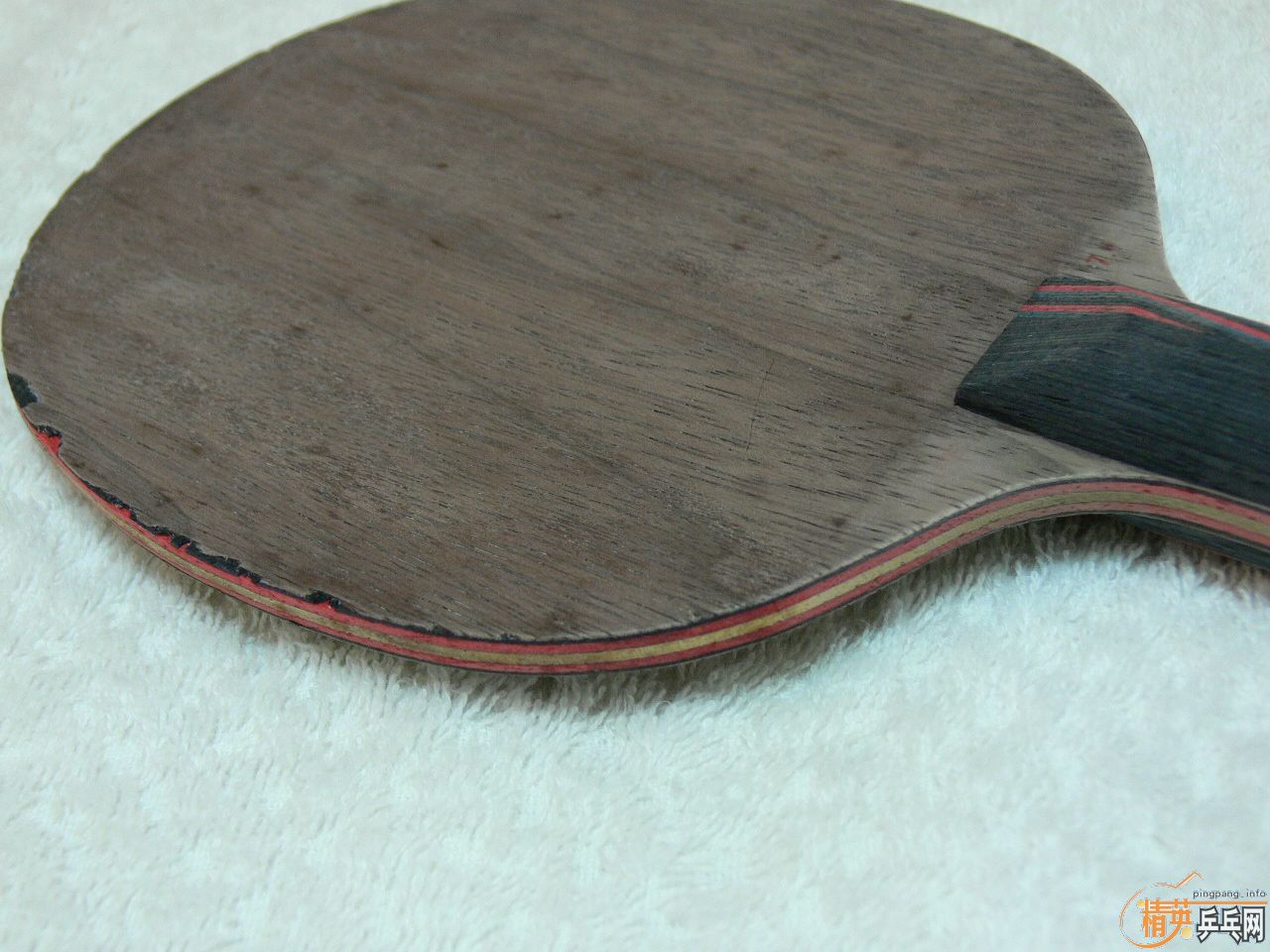 YASAKA�� STIGA ���7.6 ���Ʊ� ���� FL��