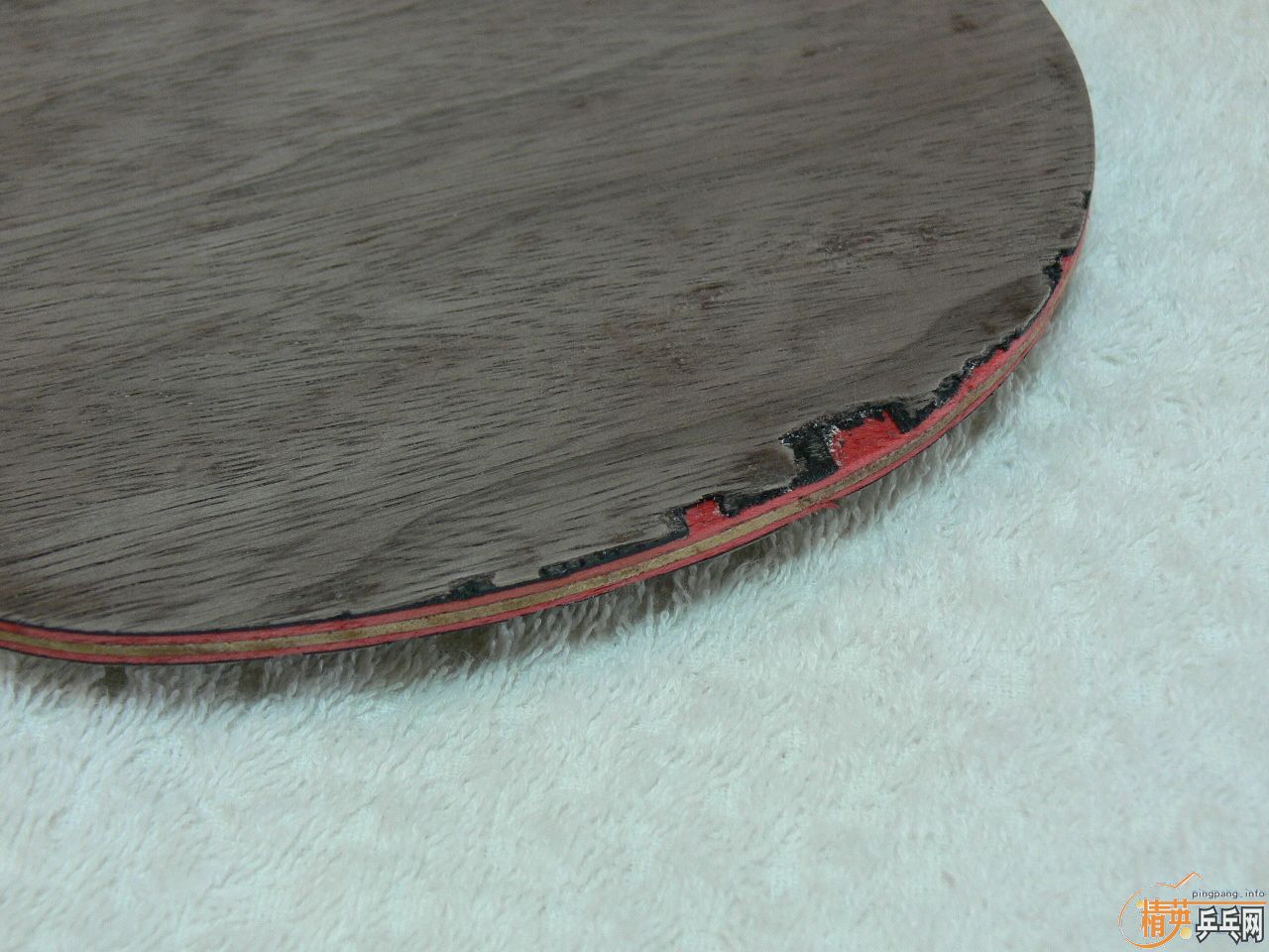 YASAKA�� STIGA ���7.6 ���Ʊ� ���� FL��