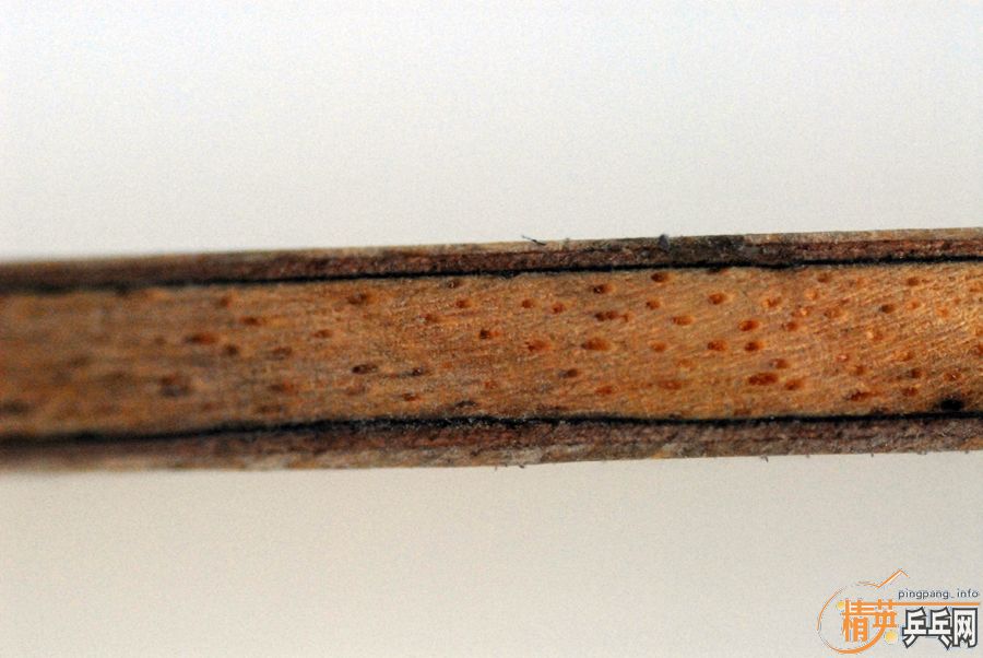 [�Ƽ�]��ʵ��������̼,�л�ϸ����CL