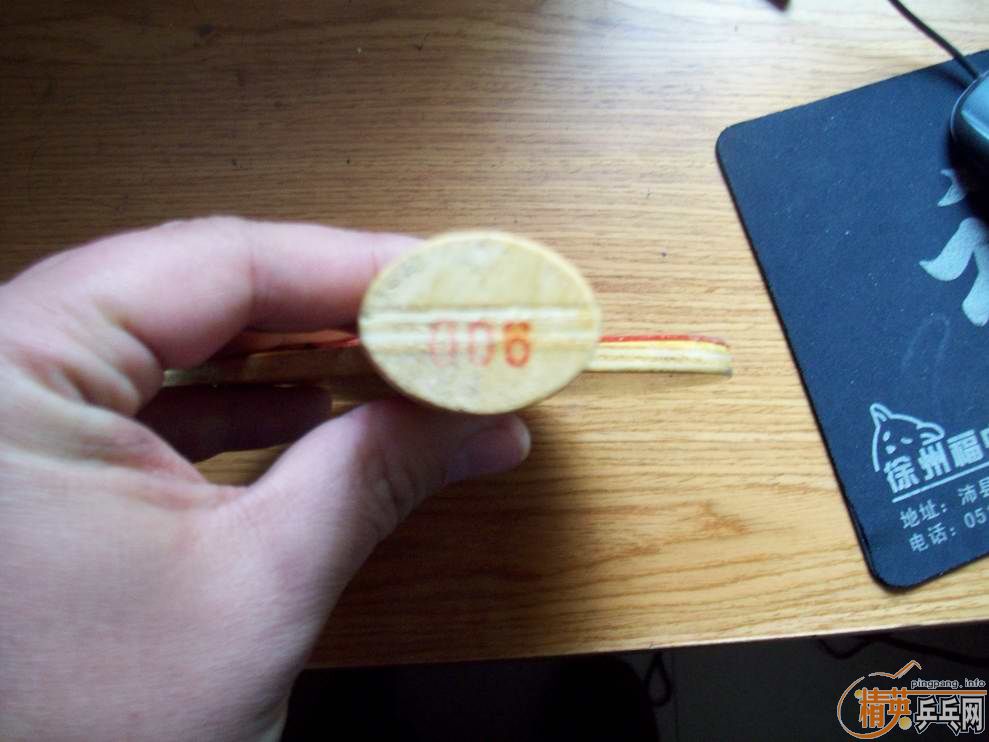 �Ϻ�˫ϲ��ר��