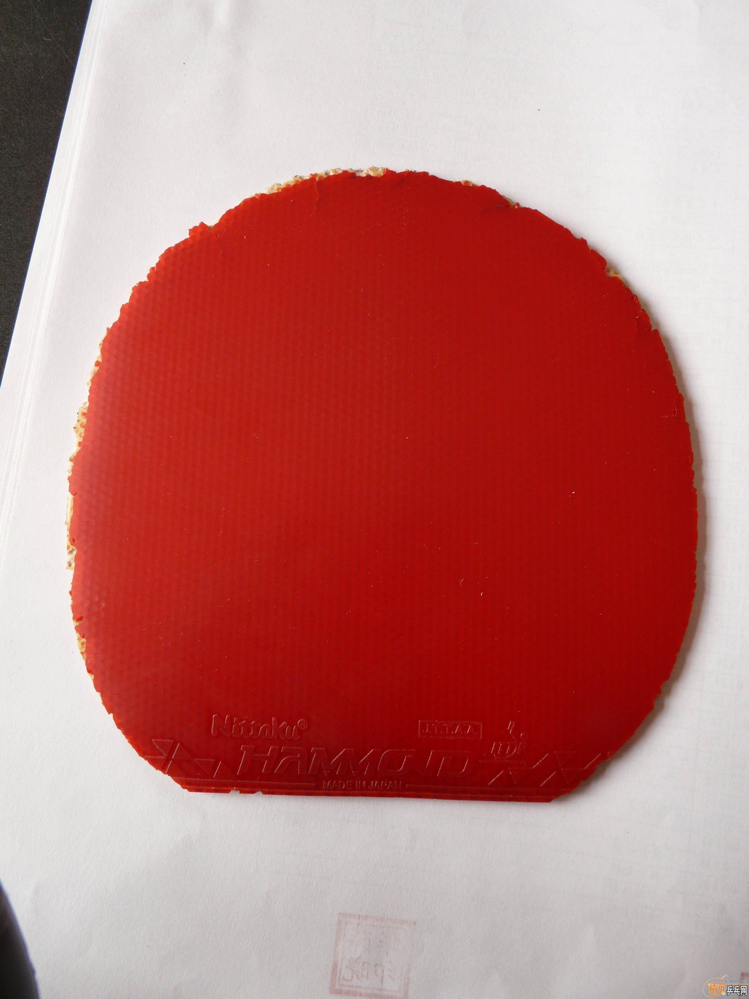 ��һ���ܹ��˵�STIGA tube������249