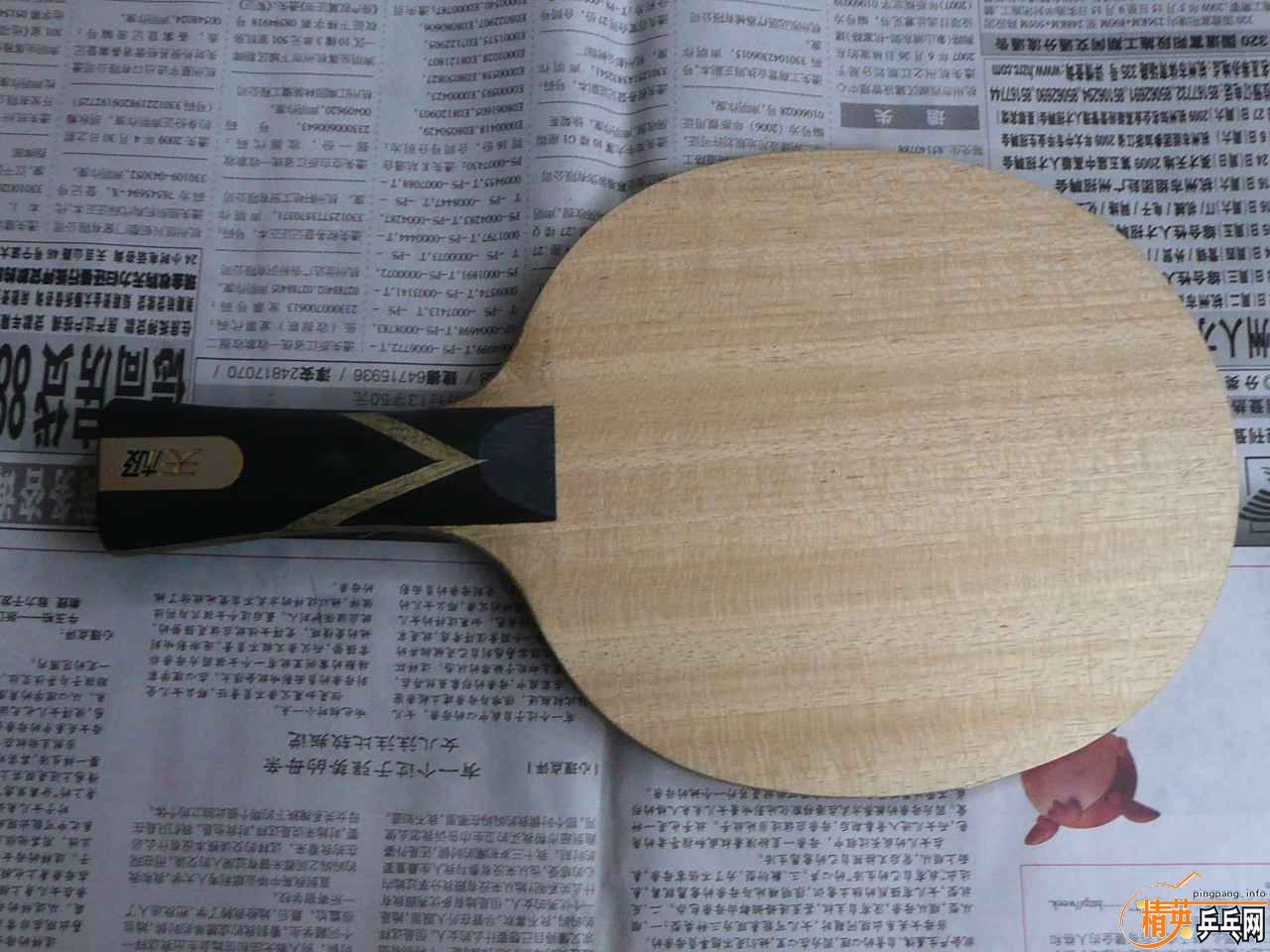 ���¿�������˫ϲ����