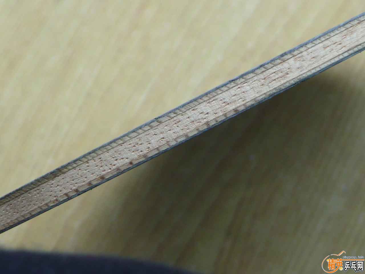 ���¿�������˫ϲ����