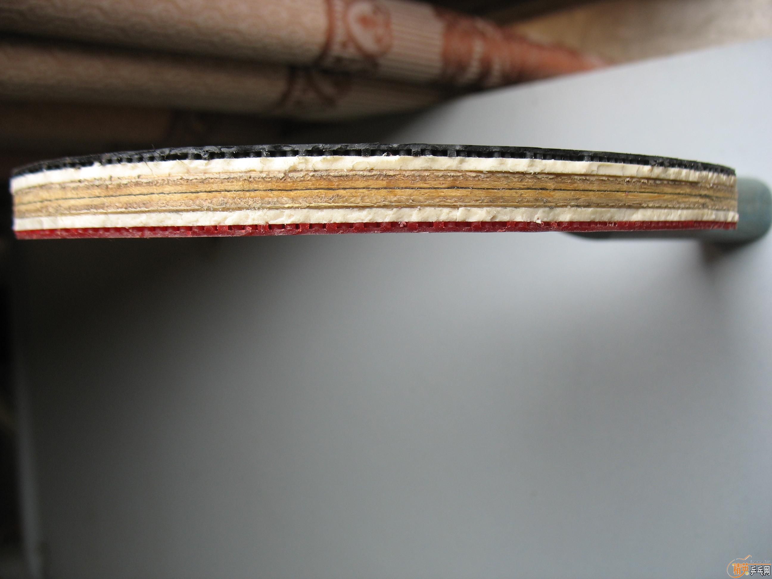 �����µó���Z