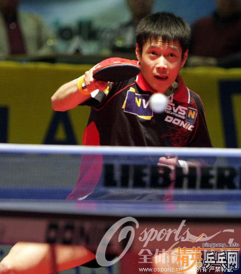 SVS���ֲ���Ա���ݿ��ڱ�����3