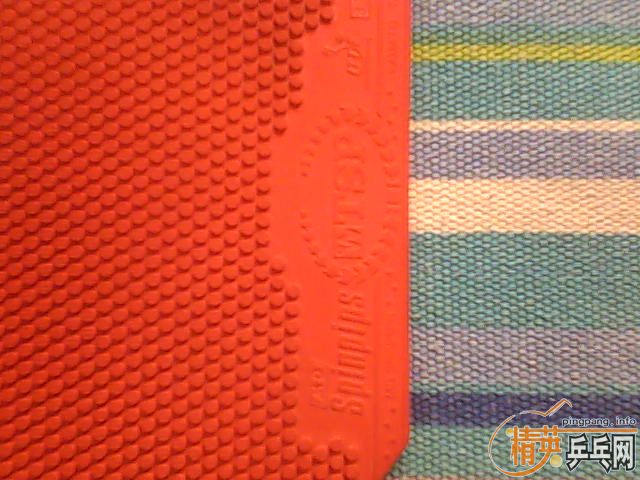 ��TSP�����׽�