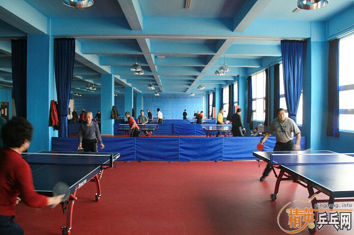 ��Ӣ�ൺƹ������ֲ����ڵء����ൺȫ��������ƹ�����