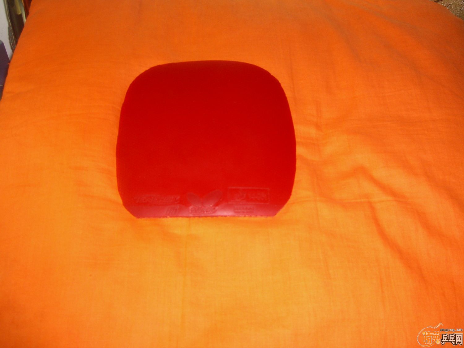 ����ԡѪ����֮��ˣ����Ͻ�+���µĺ���T05��