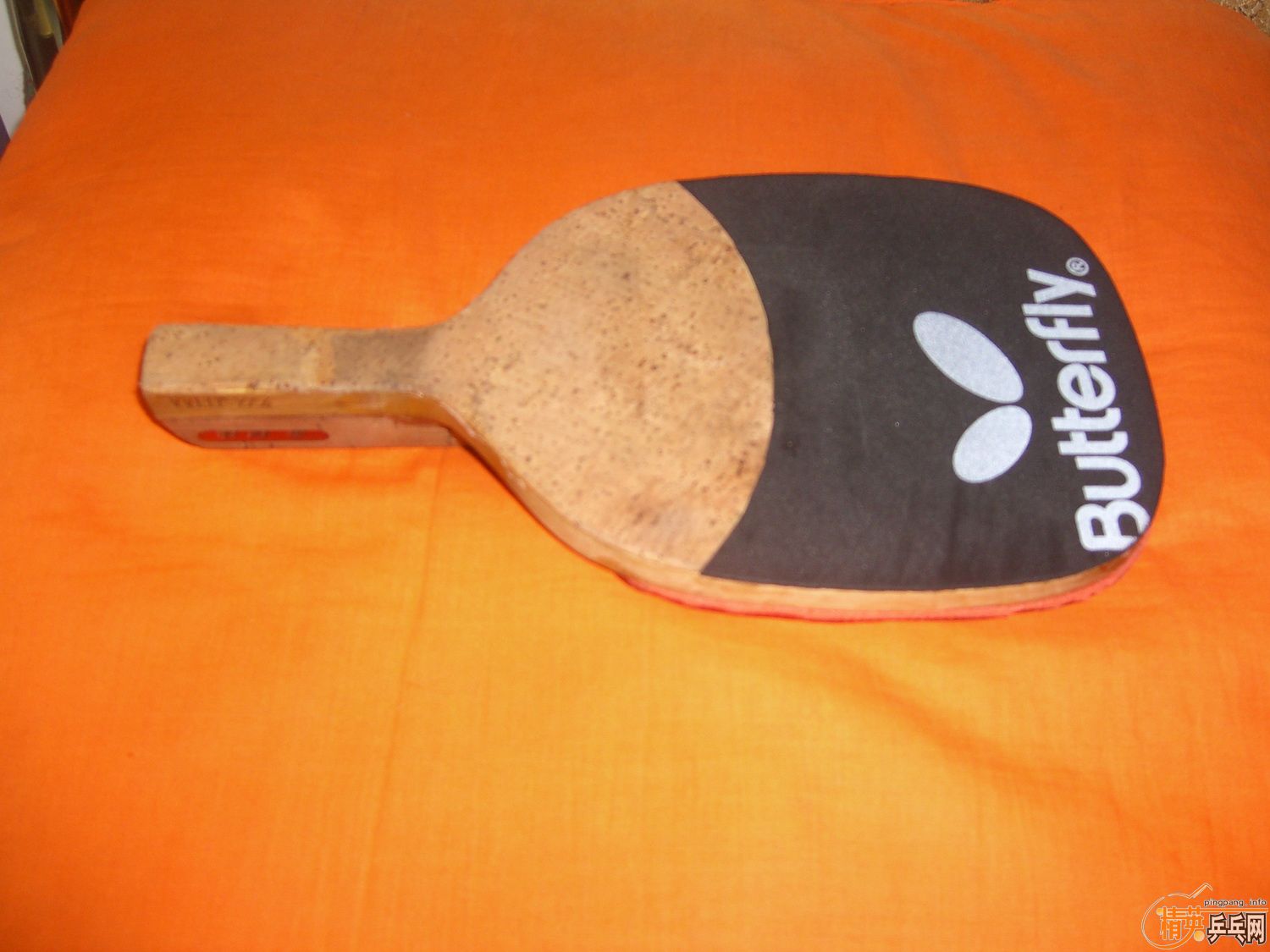 ����ԡѪ����֮��ˣ����Ͻ�+���µĺ���T05��