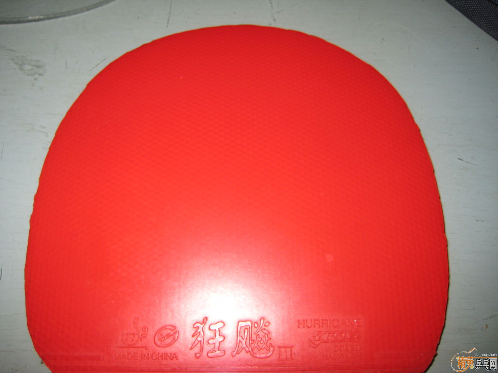 ~~~~~~~~~~~~ʡ39~~~~~~~~~~~~~~