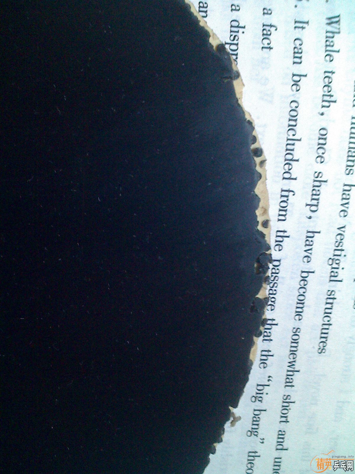 ����д���Լ��õò�ϰ�߳��ˣ����Ÿ�����