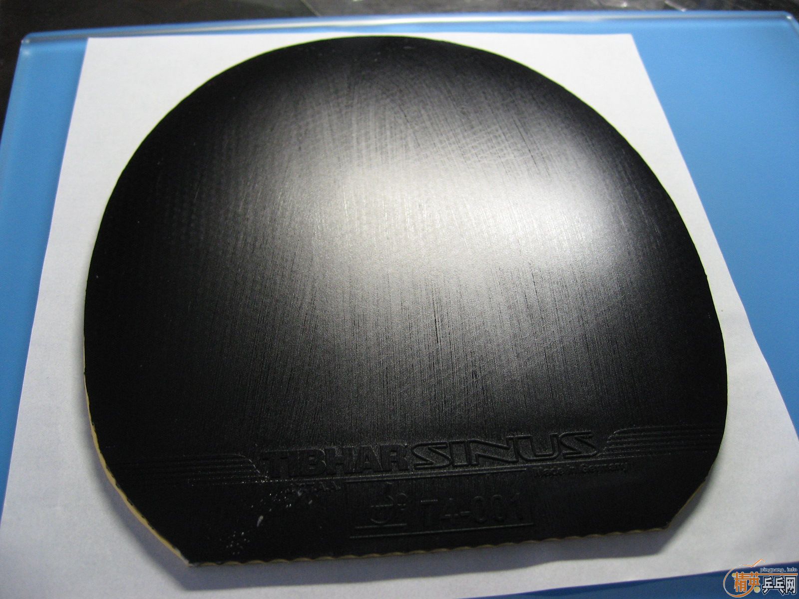 ֻʣSinus max 80