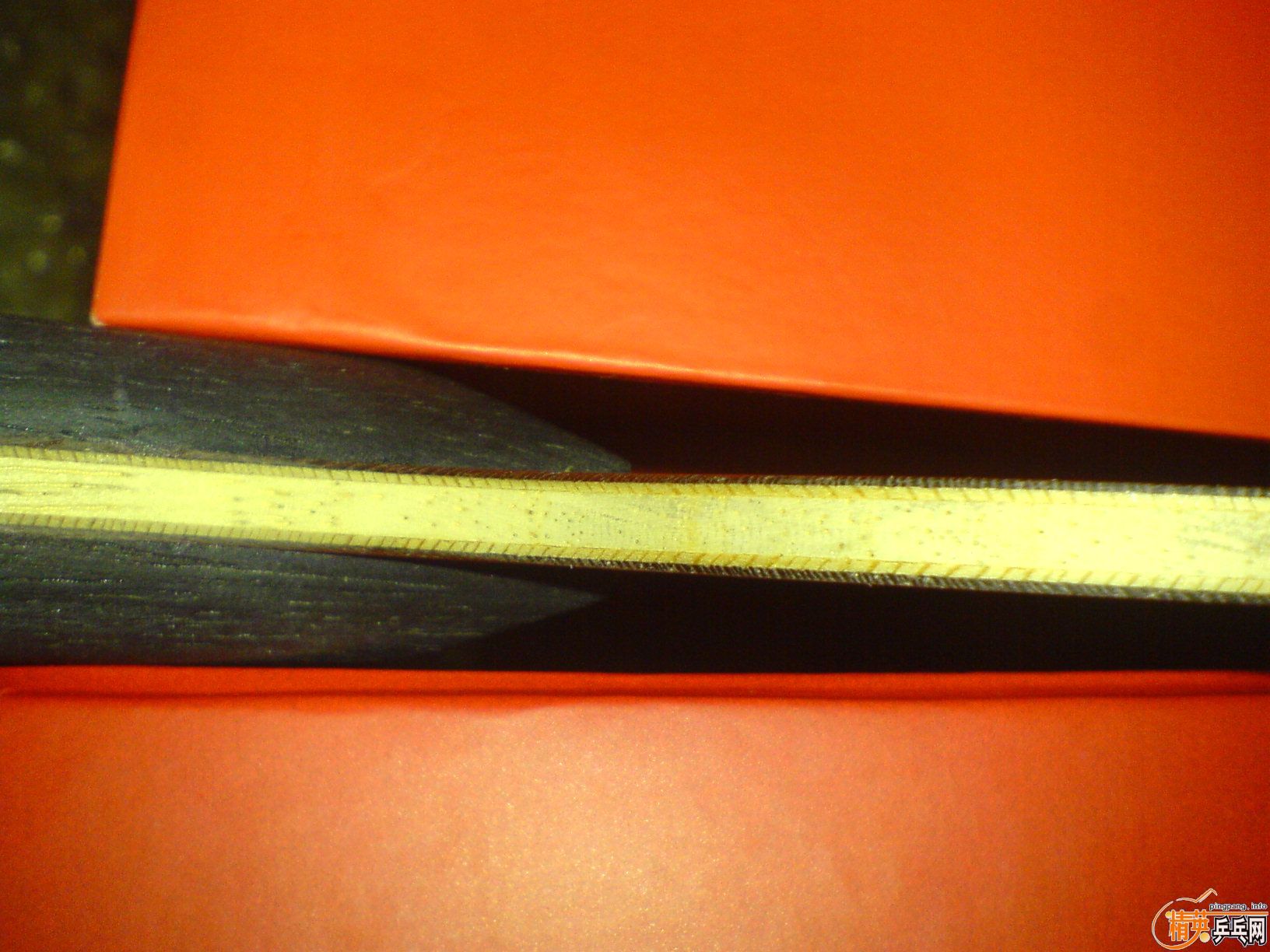 ��99�¿���������������