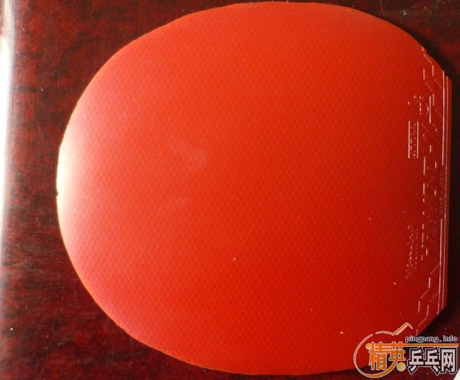 ���� L �׷���