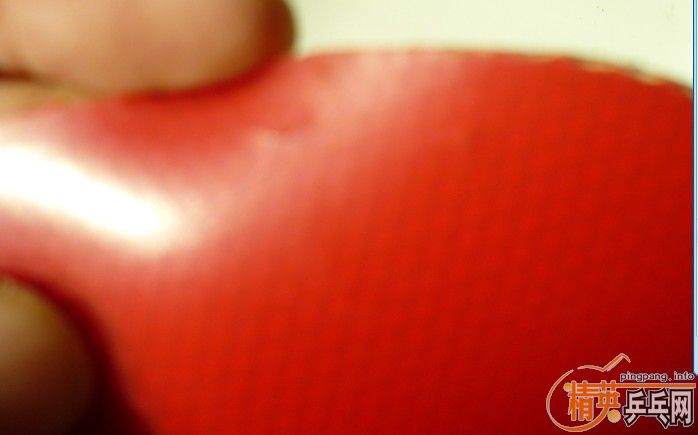 ���� L �׷���