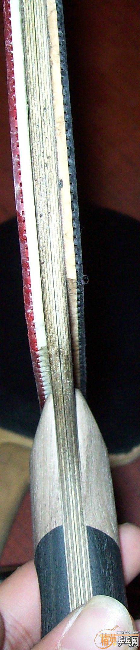 kI8z981y.jpg