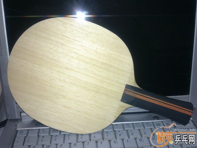 �����Ʊ���SPEED������