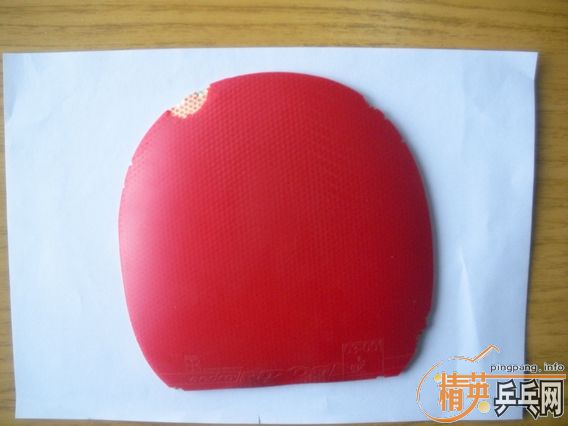 �ͼ۳���׿��500���켫���׽�������