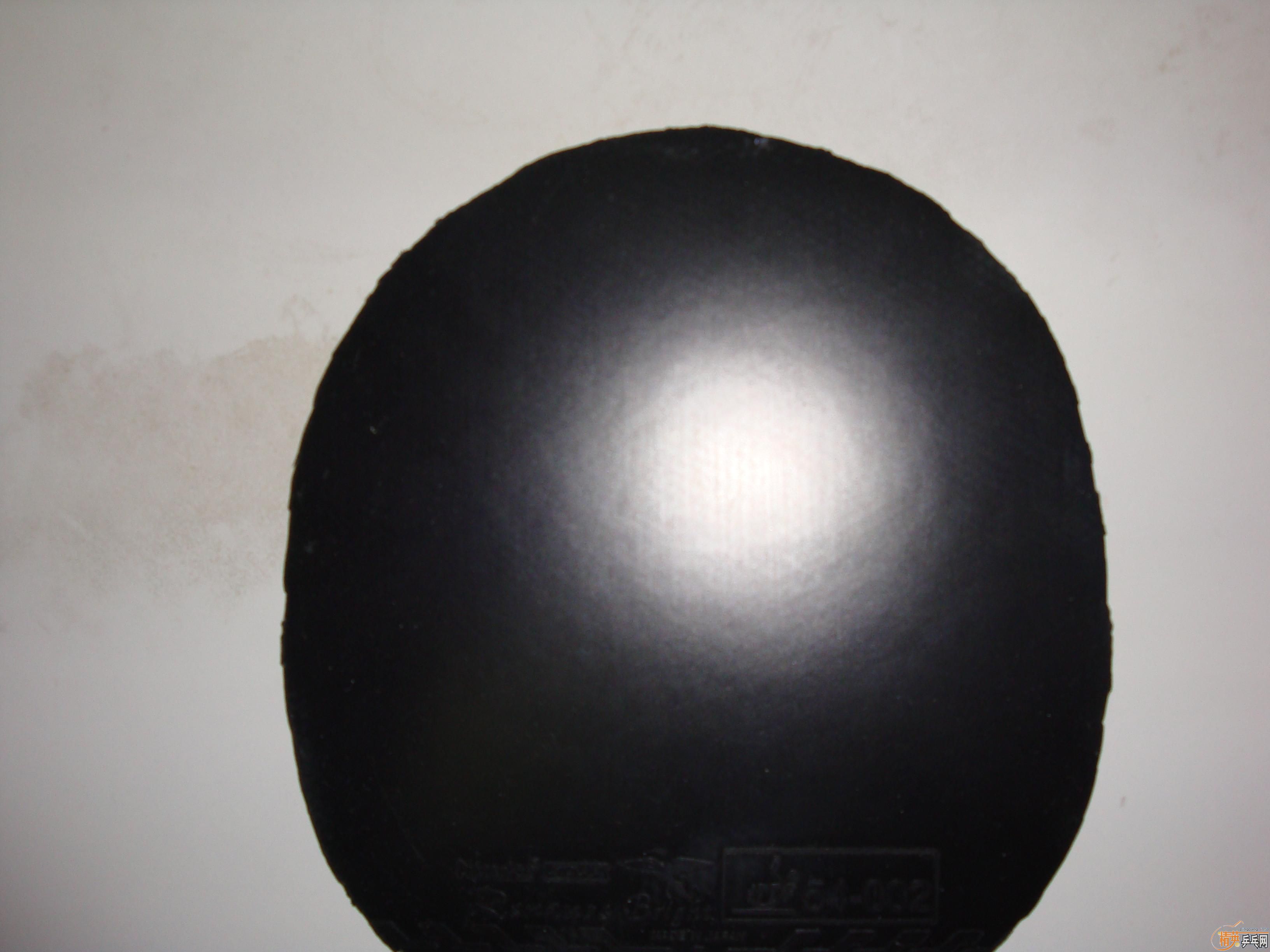 ����**05����9���»��񻻴��FX